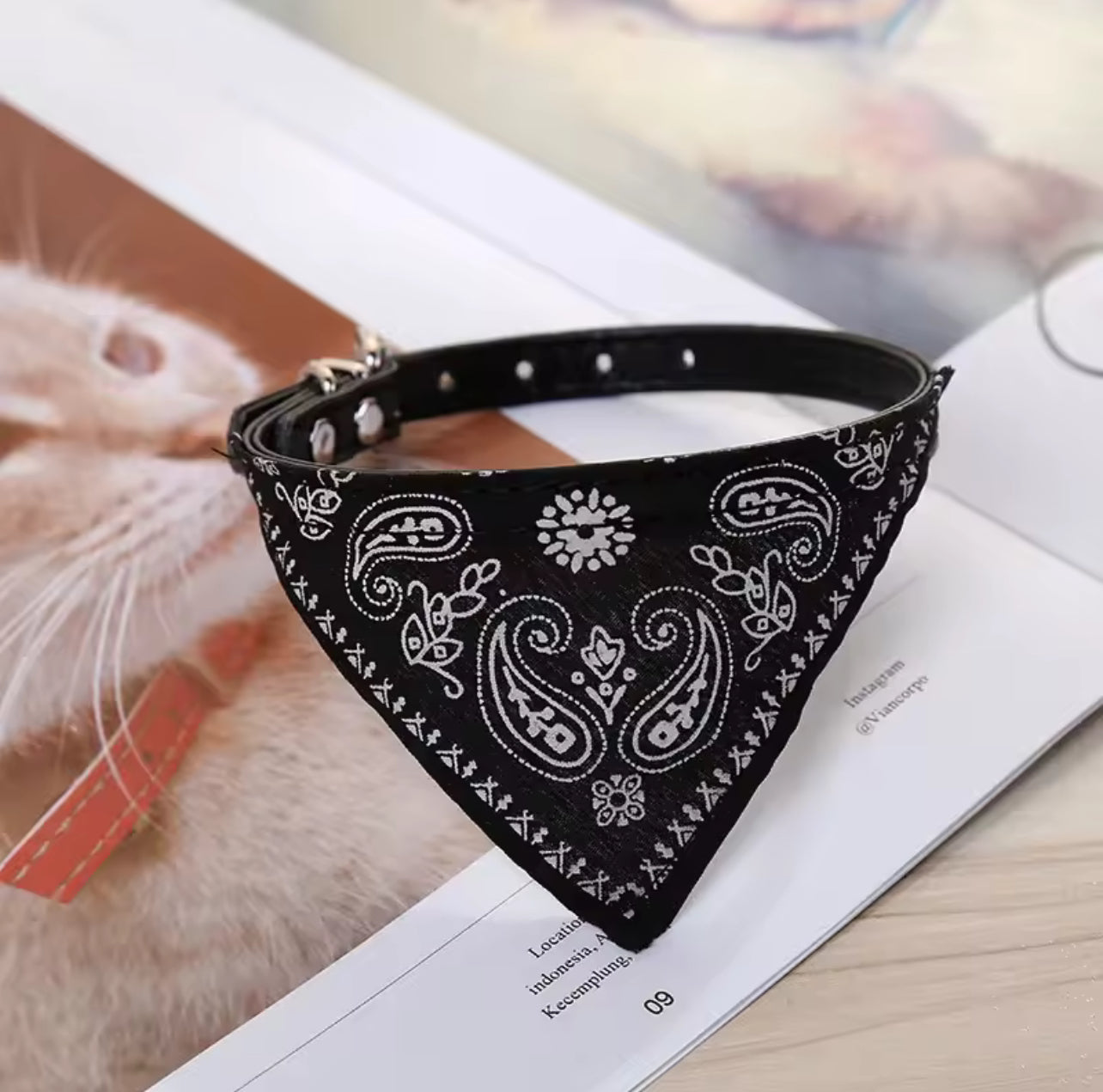 Bandana para mascota