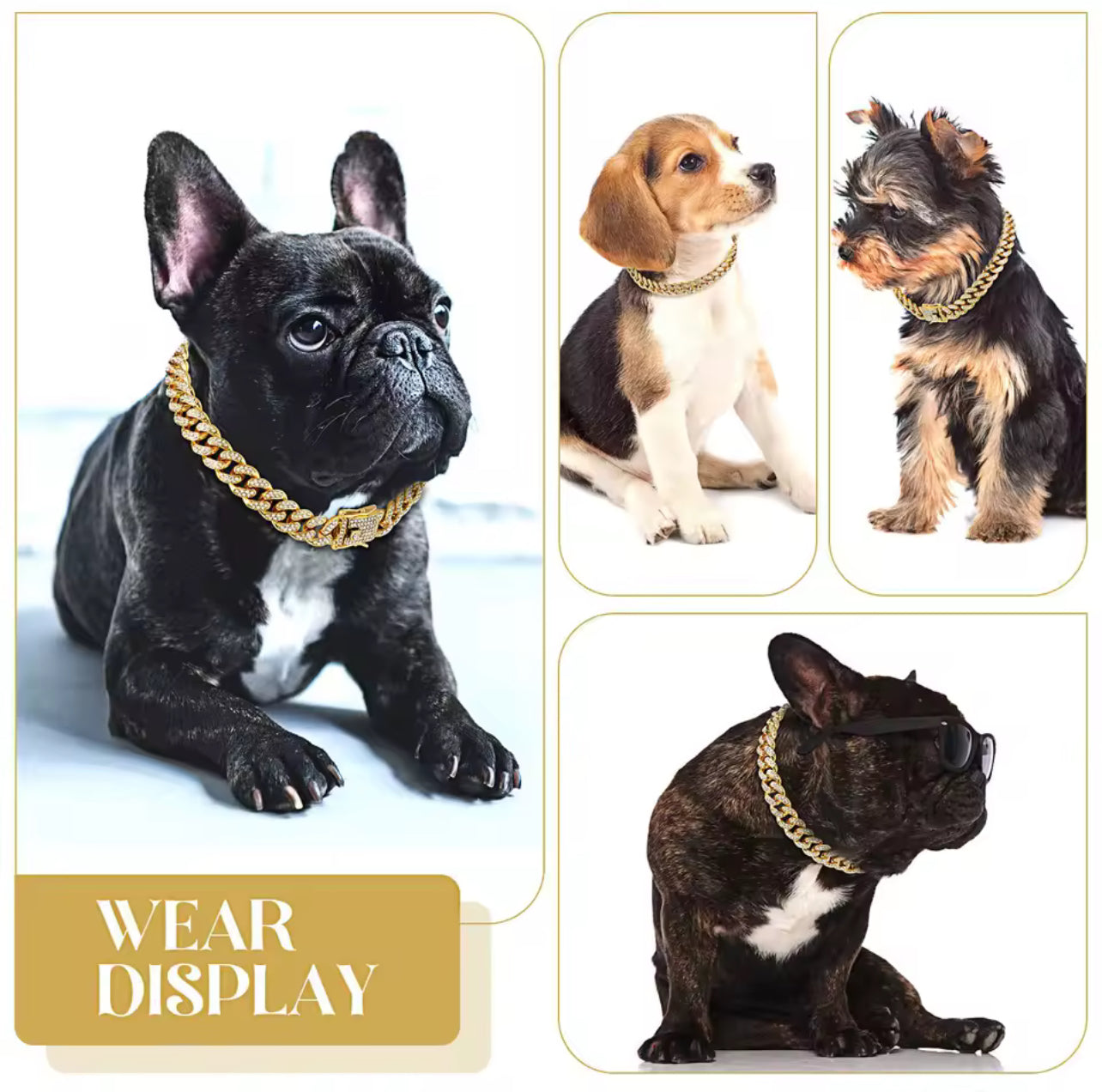 Collar bling bling